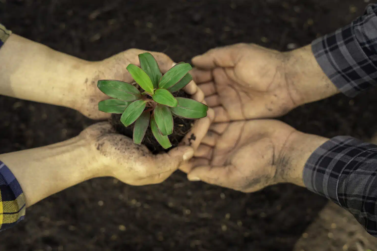 Sustainable Future